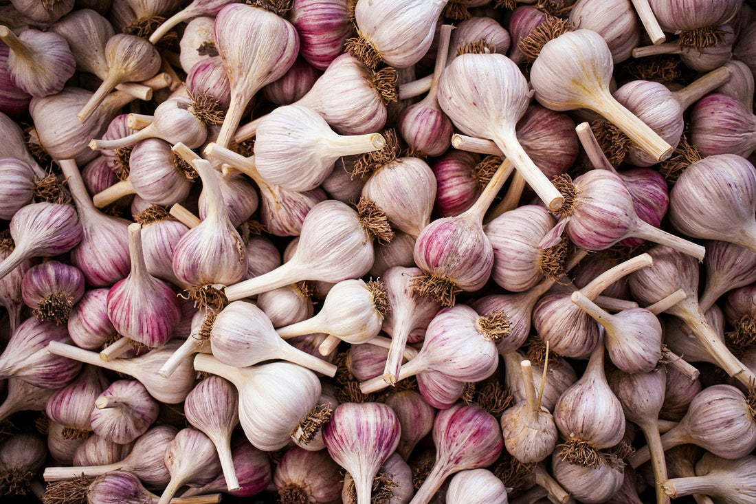 Prečo jesť cesnak každý deň? Objavte silu prírodného antibiotika